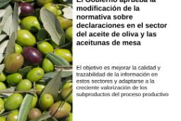 Hoy, en Consejo de Ministros