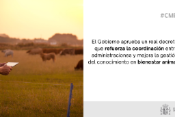 Hoy, en Consejo de Ministros