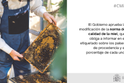 Hoy, en Consejo de Ministros  