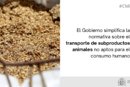 Hoy, en el Consejo de Ministros 