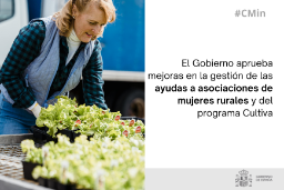 Hoy, en Consejo de Ministros