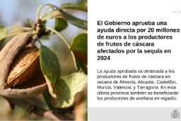 Hoy, en Consejo de Ministros