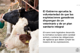 Hoy, en Consejo de Ministros