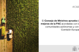 En su sesión de hoy