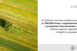 Hoy, en Consejo de Ministros