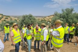 Las obras benefician a 214 hectáreas de leñosos de la provincia de Toledo