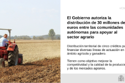 Hoy, en Consejo de Ministros