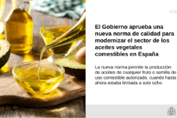 Hoy, en Consejo de Ministros