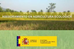 Dentro del plan de formación 2024  