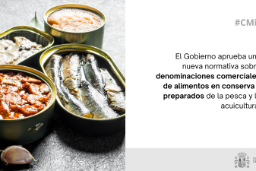 Hoy, en Consejo de Ministros