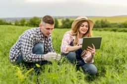 Publicada la resolución definitiva