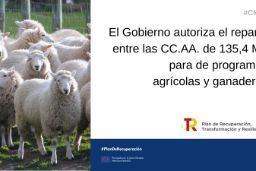 Hoy, en Consejo de Ministros  