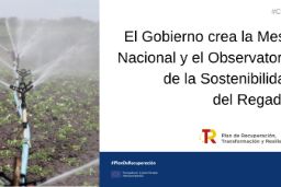 Consejo de Ministros  