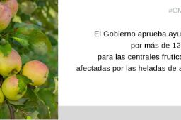 HOY, EN CONSEJO DE MINISTROS  