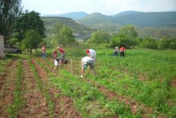 Publicado un extracto de la convocatoria en el Boletín Oficial del Estado 