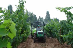 En la tercera edición del programa