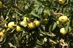 Hoy en el Consejo de Ministros