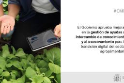 Hoy, en Consejo de Ministros