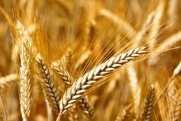 EN LA SEDE DEL DEPARTAMENTO 