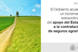 CONSEJO DE MINISTROS  