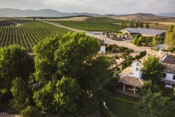 Mediante reglamento publicado hoy en el Diario Oficial de la Unión Europea