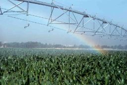 Mediante adenda publicada en el BOE