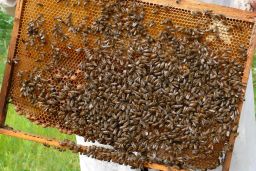 EL EXTRACTO DE LA RESOLUCIÓN SE HA PUBLICADO EN EL BOE