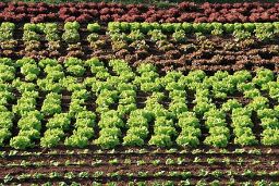 Publicado el informe Estadísticas de producción ecológica 2023