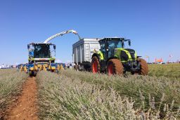 Agotados los ocho millones presupuestados en esta convocatoria