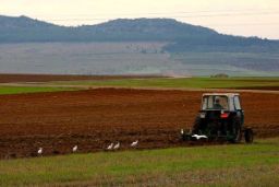 Desde hoy y hasta el 30 de noviembre