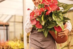 El sector ha sido uno de los afectados por la crisis de la COVID-19