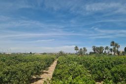 Informe perfil de referencia del usuario y de las operaciones SAECA 2023 