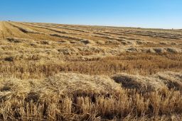 Publicado un nuevo listado de concesión en la página web del FEGA