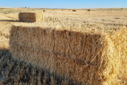 COORDINADOS POR EL MINISTERIO DE AGRICULTURA, PESCA Y ALIMENTACIÓN 