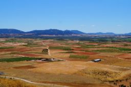 En la página web del FEGA  