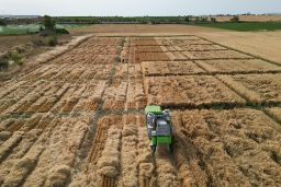 Se trata de una fase clave para la comercialización