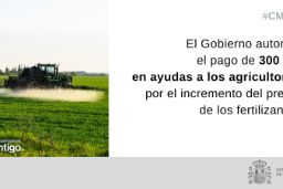 HOY, EN CONSEJO DE MINISTROS 