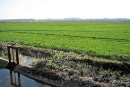 PROMOVIDAS POR EL MINISTERIO DE AGRICULTURA, PESCA Y ALIMENTACIÓN, A TRAVÉS DE SEIASA  