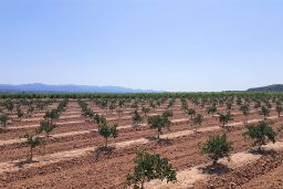 HOY, EN CONSEJO DE MINISTROS  