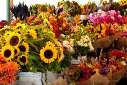 EL PROYECTO DE REAL DECRETO SE PODRÁ CONSULTAR EN LA WEB DEL MAPA