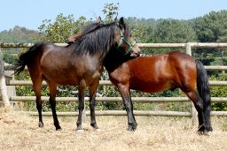 Publicado hoy en BOE el extracto de la orden de la convocatoria    