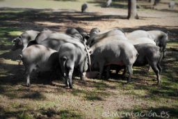 Consejo de Ministros