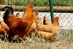 HOY, EN EL BOLETÍN OFICIAL DEL ESTADO 