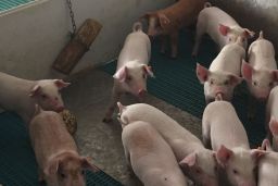 EL MINISTERIO DE AGRICULTURA, PESCA Y ALIMENTACIÓN HA RECIBIDO HOY LA COMUNICACIÓN OFICIAL 