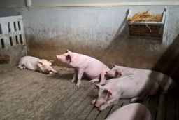 Publicado el informe sobre implantación de Mejores Técnicas Disponibles  