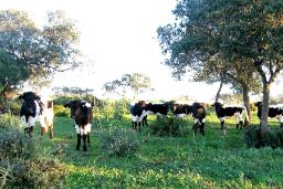 Del 15 de junio al 15 de septiembre de 2023