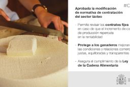 Hoy, en el Consejo de Ministros