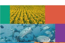 Disponible en la página web del ministerio 