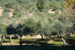 HOY, EN CONSEJO DE MINISTROS