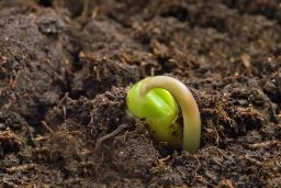 Hoy, en Consejo de Ministros 